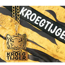 Mag deze bij accessoires opmaat