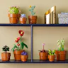 LEGO® Icons 10329 miniplantjes